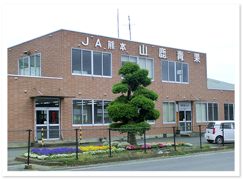 JA熊本山鹿青果　建物